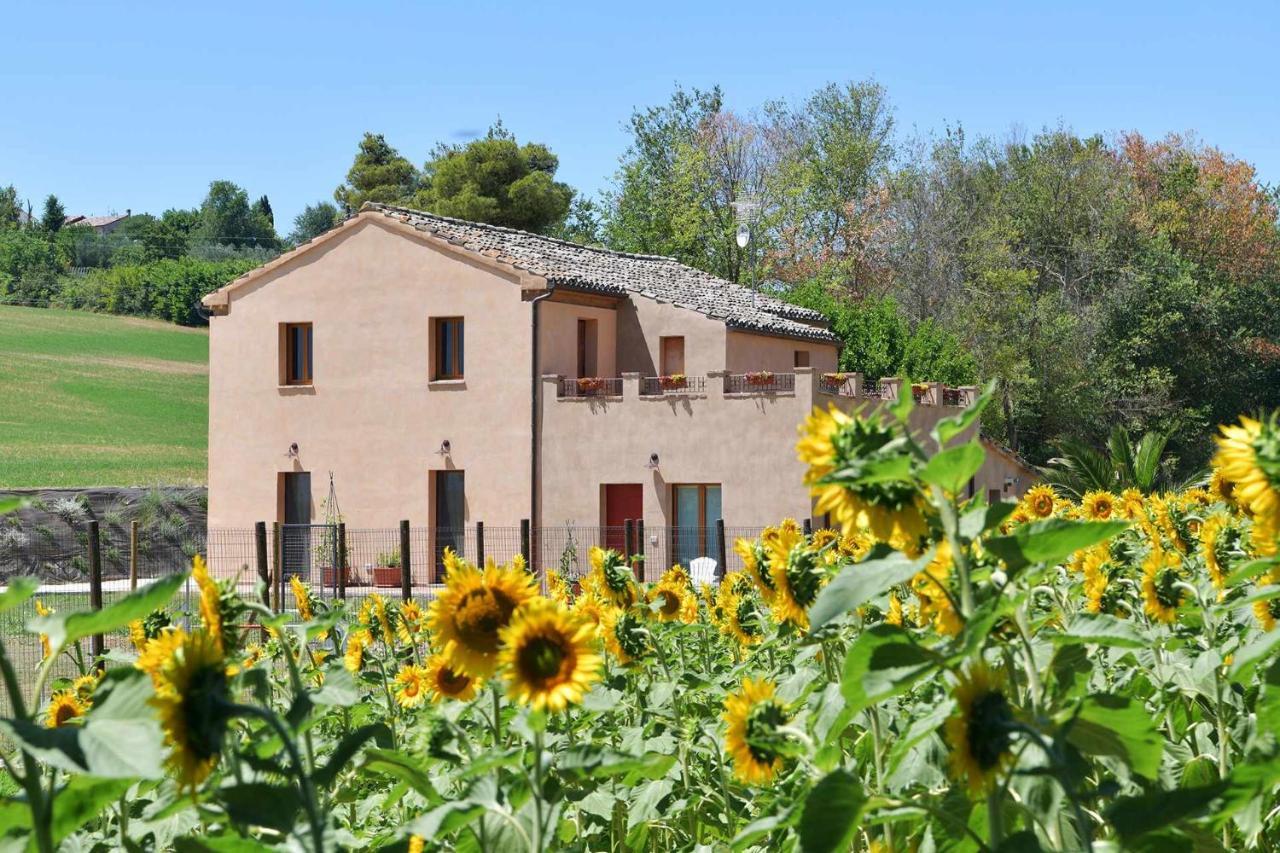 Casa Montefiore 13 Iris Lt Nella Tranquilla Campagna Marchigiana Ancona Eksteriør bilde