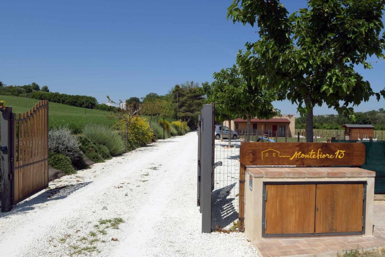 Casa Montefiore 13 Iris Lt Nella Tranquilla Campagna Marchigiana Ancona Eksteriør bilde